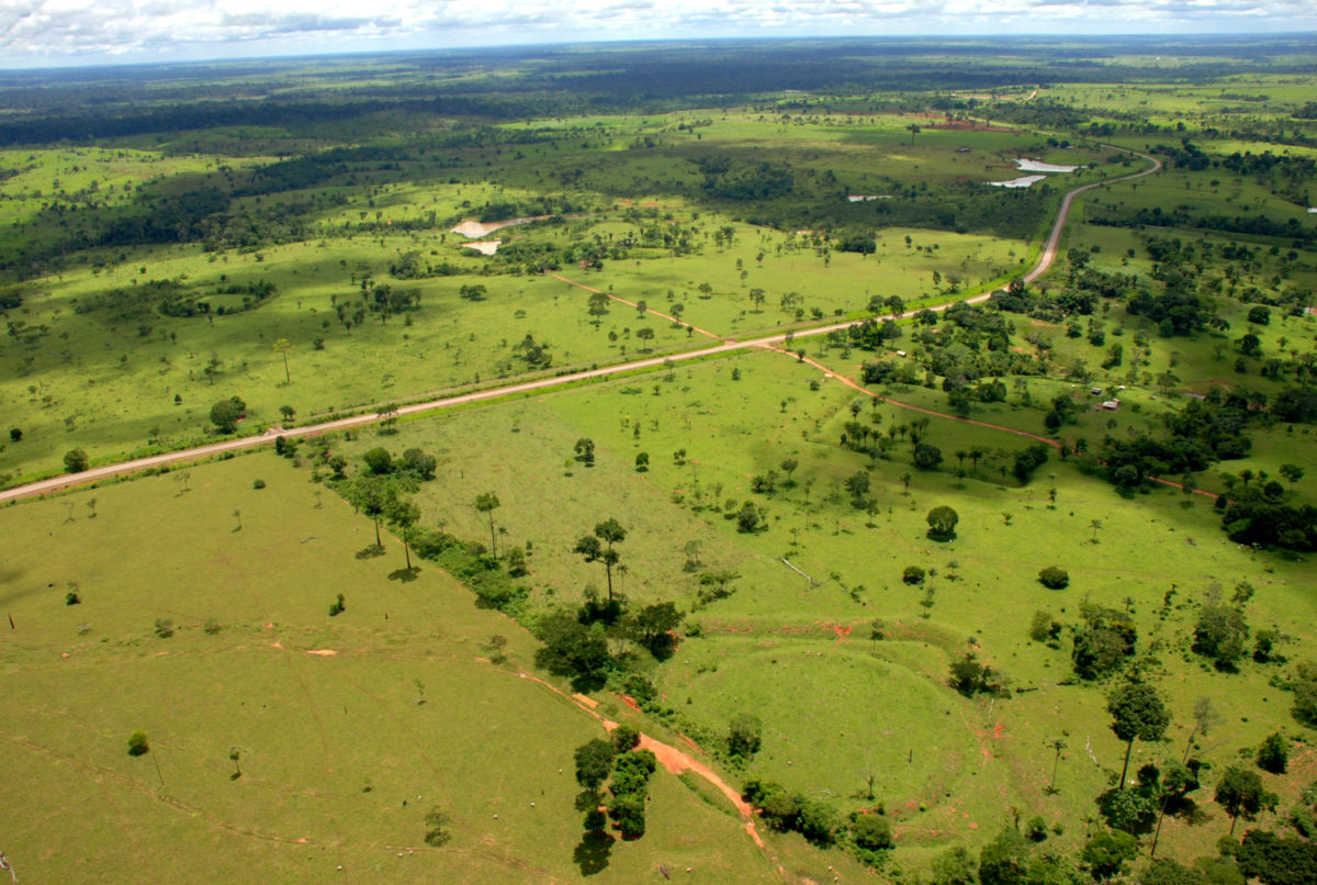 Observatório de Geoglifos da Amazônia e escolas em tempo integral estão