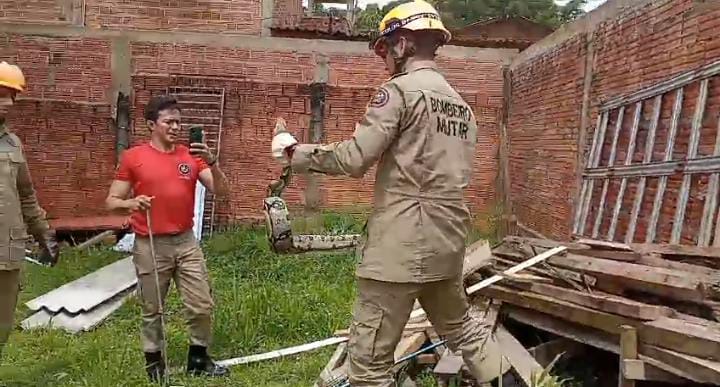 Veja O V Deo Cobra Gigante De Metros Assusta Moradores Em Terreno Na