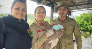 bombeiros-resgatam-jovem-mae-e-bebe-recem-nascido-em-zona-rural-no-acre-–-jornal-a-gazeta-do-acre